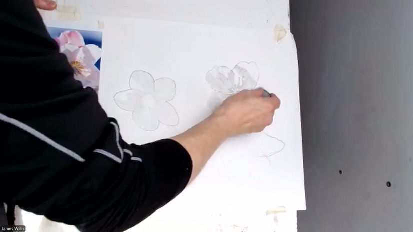 Drawing Cafe Christmas Roses 081225